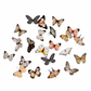 White butterflies PET sticker pack - 40pcs