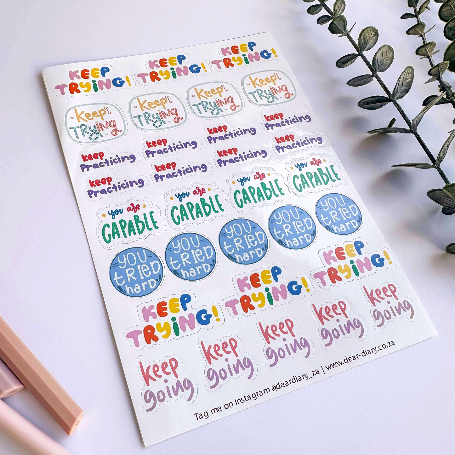 Dear Diary Vinyl Sticker sheet - Teacher Stickers (Keep Trying)