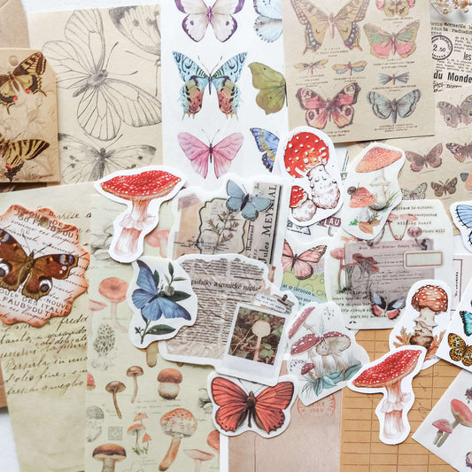 Paper and sticker bundle - Butterflies & mushrooms