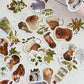 Coffee sticker set - 46 pcs