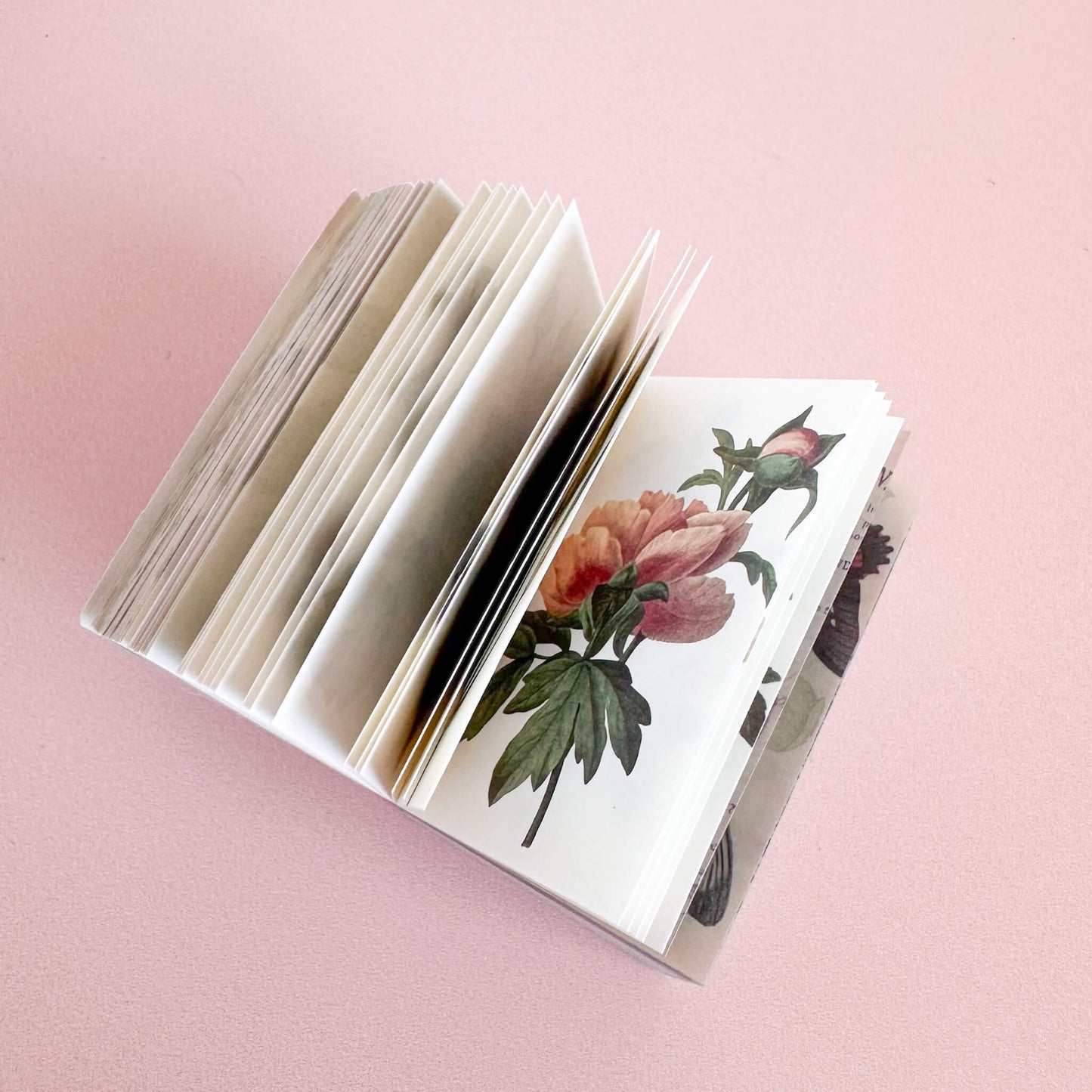 Mini paper booklet - Nature