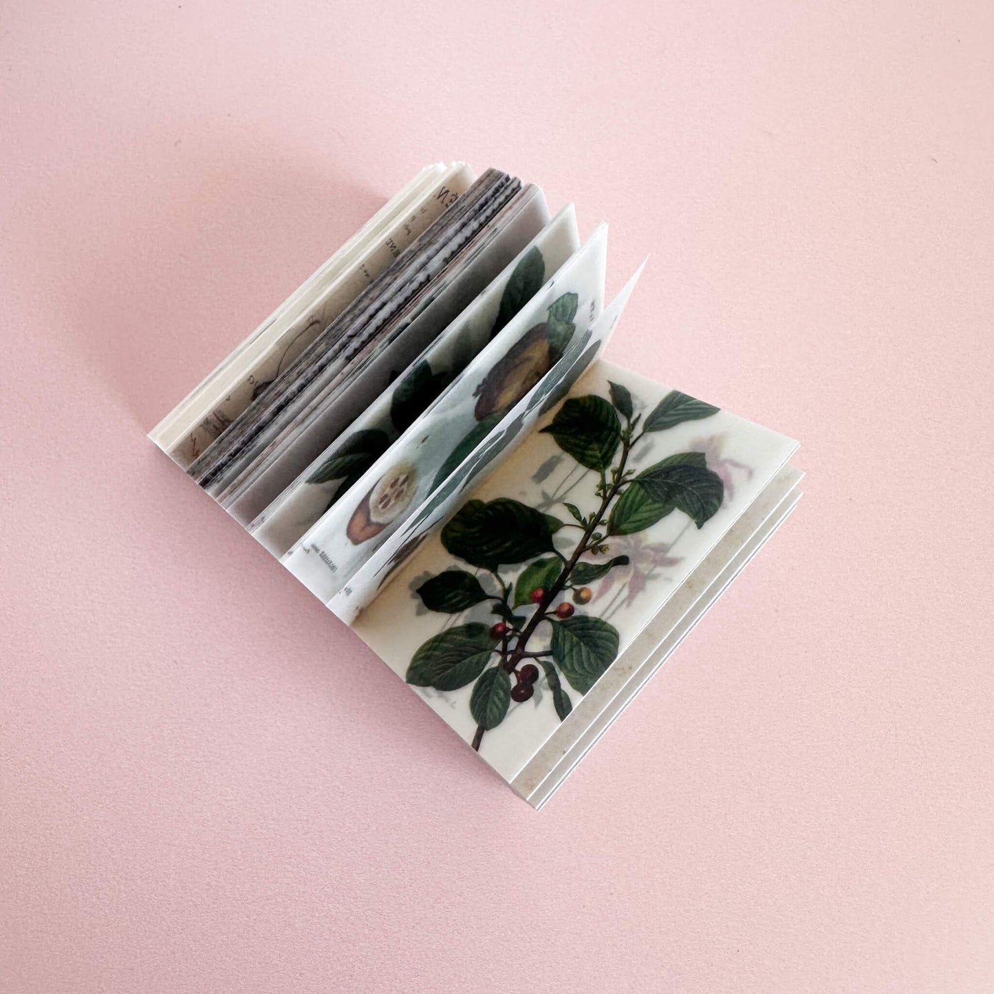 Mini paper booklet - Nature