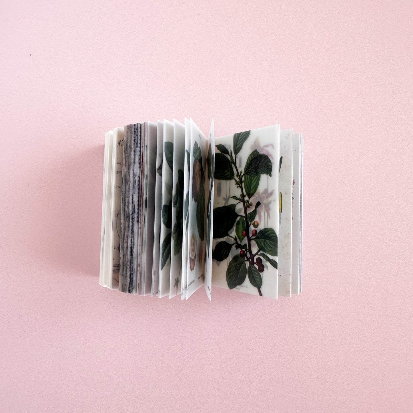 Mini paper booklet - Nature