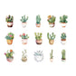 Greenery PET sticker pack - Potted cactus - 30pcs